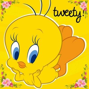 Meet your Posher, Lorrie